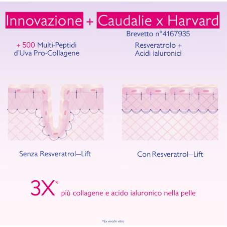 Caudalie Resveratrol Crema Tisana della Notte 50 ml