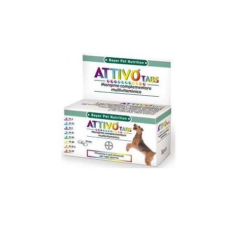 Pet Nutrition Attivo integratore multivitaminico per la vitalità del cane 60 compresse Pet Nutrition Attivo integratore multivitaminico per la vitalità del cane 60 compresse