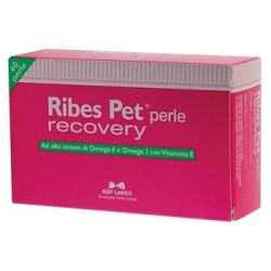 Ribes Pet Recovery integratore per dermatite di cani e gatti 60 perle