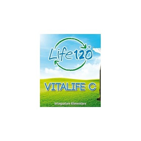 Vitalife C 240 compresse - Integratore di vitamina C per il sistema immunitario Vitalife C 240 compresse - Integratore di vitamina C per il sistema immunitario