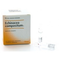 Heel Echinacea Composta S 10 fiale omeopatiche da 2,2 ml