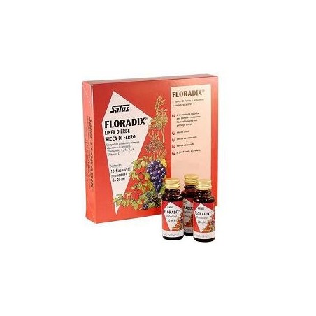 Floradix integratore vegetale con ferro e vitamine 10 flaconcini Floradix integratore vegetale con ferro e vitamine 10 flaconcini
