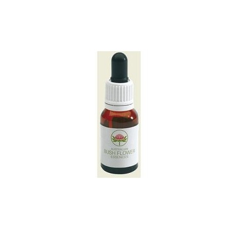 Bush Crowea essenza floreale per apprendimento e concentrazione 15 ml Bush Crowea essenza floreale per apprendimento e concentrazione 15 ml