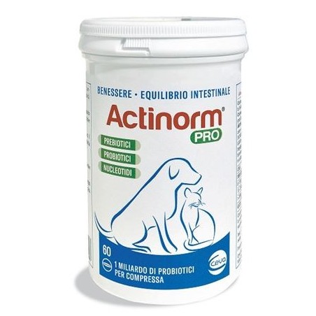 Actinorm Pro integratore gastrointestinale per cani/gatti 60compresse Actinorm Pro integratore gastrointestinale per cani/gatti 60compresse