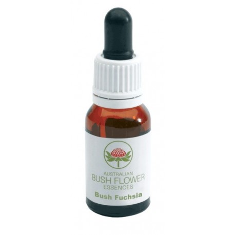 Bush Fuchsia essenza floreale per apprendimento e concentrazione 15 ml