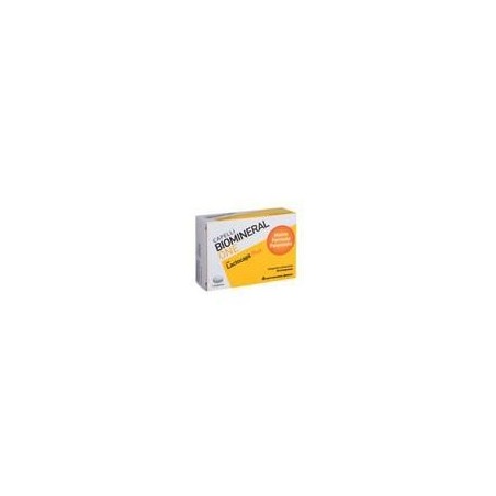 LongLife Boswellia 350 mg integratore per articolazioni e ossa 60 capsule vegetali LongLife Boswellia 350 mg integratore per articolazioni e ossa 60 capsule vegetali