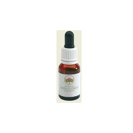 Bush Mulla Mulla Australian 15 ml - Essenza floreale per ferite emotive