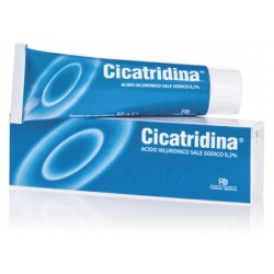 Cicatridina Pomata Lenitiva e Cicatrizzante per Lesioni Cutanee 60 g