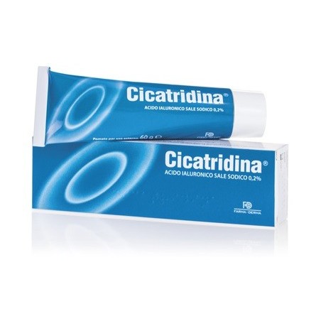Cicatridina Pomata Lenitiva e Cicatrizzante per Lesioni Cutanee 60 g Cicatridina Pomata Lenitiva e Cicatrizzante per Lesioni Cutanee 60 g