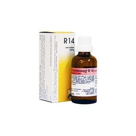 Reckeweg R14 gocce 22 ml farmaco omeopatico contro l'insonnia Reckeweg R14 gocce 22 ml farmaco omeopatico contro l'insonnia