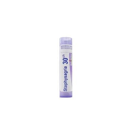 Staphysagria 15CH globuli farmaco omeopatico per la pelle tubo da 1g Staphysagria 15CH globuli farmaco omeopatico per la pelle tubo da 1g