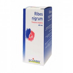Ribes Nigrum tintura madre rimedio vegetale antinfiammatorio 60 ml