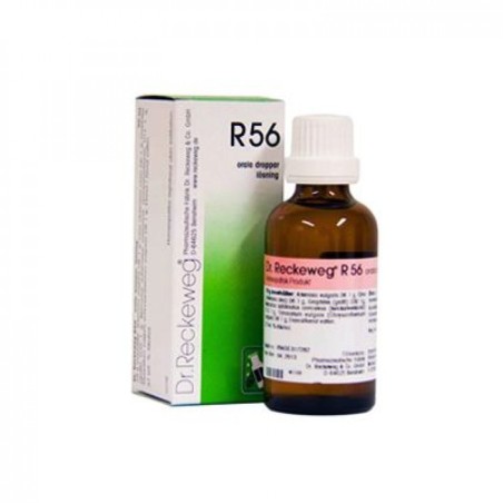 Reckeweg R56 gocce omeopatiche 22 ml Reckeweg R56 gocce omeopatiche 22 ml