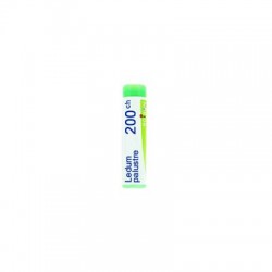 Ledum Palustre 200 CH globuli omeopatici 1 tubo