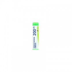 Calcarea Carbonica Ostrearum 200CH globuli omeopatici 1 tubo