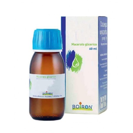 Boiron Viscum Album macerato glicerico rimedio omeopatico 60 ml Boiron Viscum Album macerato glicerico rimedio omeopatico 60 ml