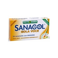 Sanagol gola voce 24 caramelle lenitive gusto miele limone