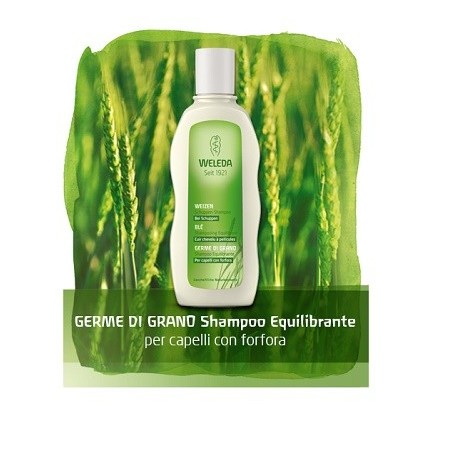 Weleda Shampoo riequilibrante antiforfora al Germe di Grano 190 ml Weleda Shampoo riequilibrante antiforfora al Germe di Grano 190 ml