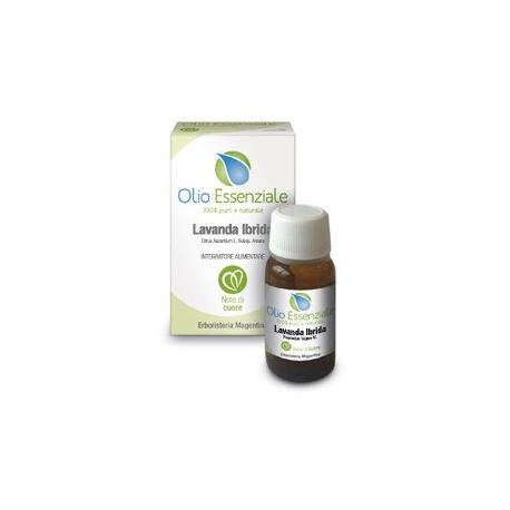 Erboristeria Magentina Olio essenziale di Lavanda Ibrida puro 100% 10 ml