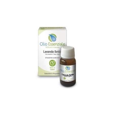Erboristeria Magentina Olio essenziale di Lavanda Ibrida puro 100% 10 ml Erboristeria Magentina Olio essenziale di Lavanda Ibrida puro 100% 10 ml