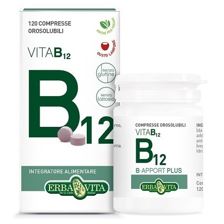 Erba Vita B Apport Plus integratore di vitamina B 120 compresse orosolubili Erba Vita B Apport Plus integratore di vitamina B 120 compresse orosolubili