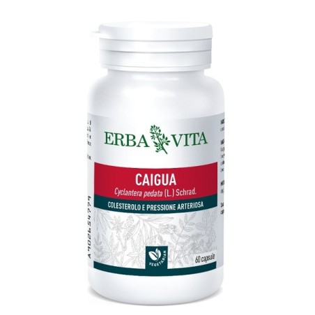 Erba Vita Caigua integratore per il colesterolo e pressione arteriosa 60 capsule Erba Vita Caigua integratore per il colesterolo e pressione arteriosa 60 capsule