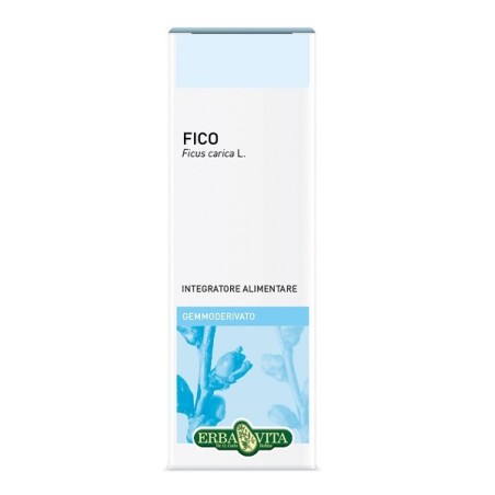 Erba Vita Fico Gemmoderivato integratore per la digestione 50 ml Erba Vita Fico Gemmoderivato integratore per la digestione 50 ml