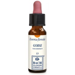 Erba Vita Fiori di Bach Gorse essenza floreale per coraggio e forza d'animo 10 ml