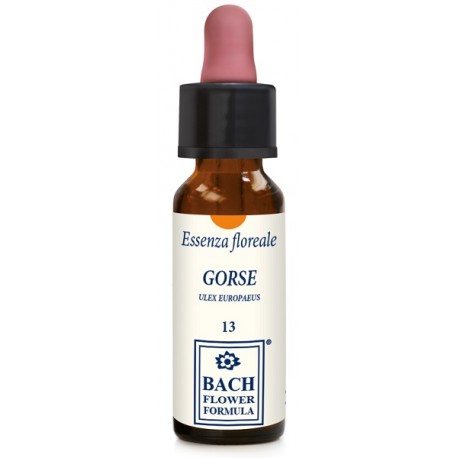 Erba Vita Fiori di Bach Gorse essenza floreale per coraggio e forza d'animo 10 ml