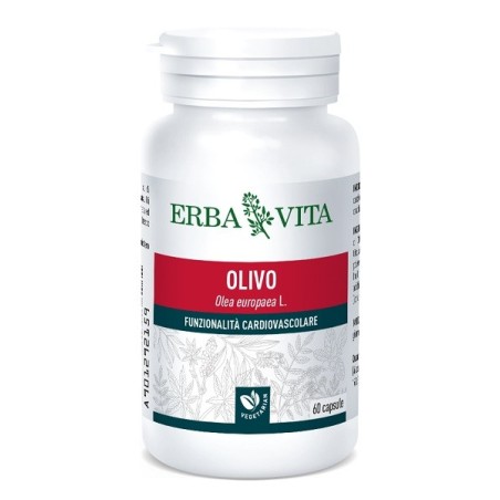Erba Vita Olivo integratore per la funzionalità cardiovascolare 60 capsule Erba Vita Olivo integratore per la funzionalità cardiovascolare 60 capsule