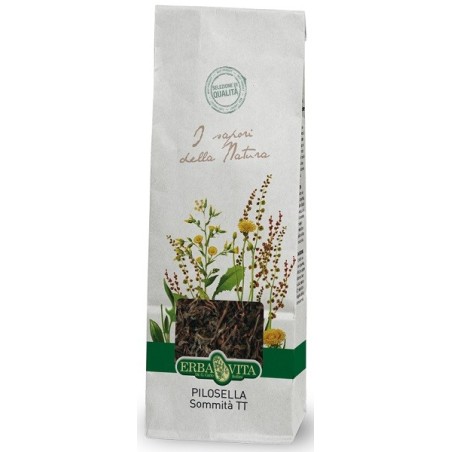 Erba Vita Pilosella sommità per tisana diuretica e antibiotica 100 g Erba Vita Pilosella sommità per tisana diuretica e antibiotica 100 g