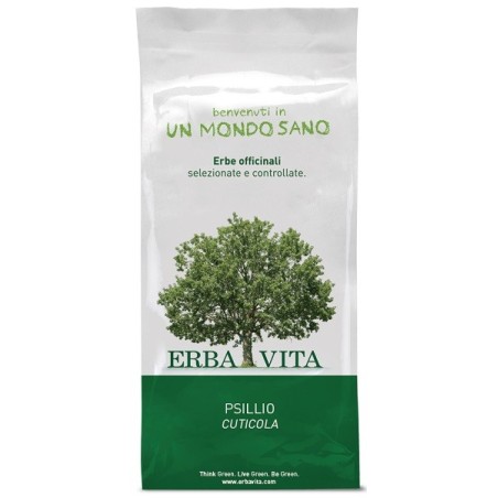 Erba Vita Psillio cuticola per tisana per benessere intestinale 100 g Erba Vita Psillio cuticola per tisana per benessere intestinale 100 g