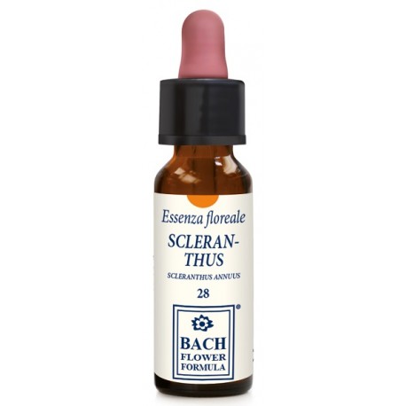 Erba Vita Fiori di Bach Scleranthus Original Essenza floreale per indecisione 10 ml