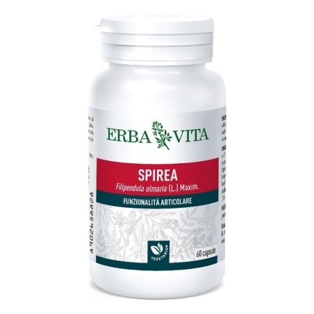 Erba Vita Spirea Ulmaria integratore per la funzionalità articolare 60 capsule Erba Vita Spirea Ulmaria integratore per la funzionalità articolare 60 capsule