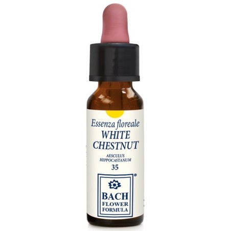 Erba Vita Fiori di Bach White Chestnut Essenza floreale per pensieri negativi 10 ml Erba Vita Fiori di Bach White Chestnut Essenza floreale per pensieri negativi 10 ml