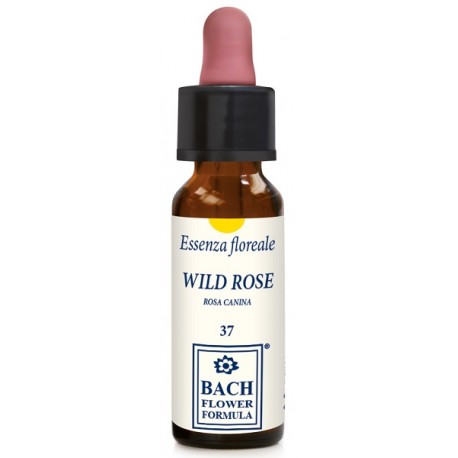 Erba Vita Fiori di Bach Wild Rose Essenza floreale per gioia e motivazione 10 ml