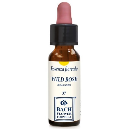 Erba Vita Fiori di Bach Wild Rose Essenza floreale per gioia e motivazione 10 ml Erba Vita Fiori di Bach Wild Rose Essenza floreale per gioia e motivazione 10 ml