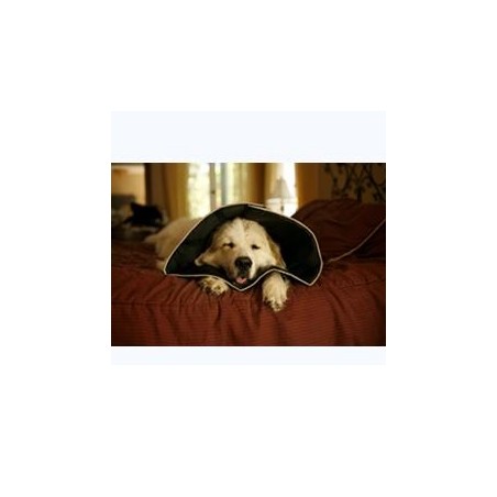 Candioli Comfy Cone Collare elisabettiano innovativo morbido taglia M 20 cm Candioli Comfy Cone Collare elisabettiano innovativo morbido taglia M 20 cm