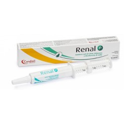 Candioli Renal P pasta per pani e gatti con siringa dosatrice 15 ml