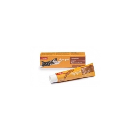 Candioli Vigorpet pasta ricostituente per gatti 50 g Candioli Vigorpet pasta ricostituente per gatti 50 g