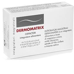 Integratori Magistrali Dermomatrix integratore antiossidante per la pelle 20 capsule