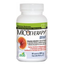 Micotherapy BM integratore a base di Reishi per il tono dell'umore 60 capsule