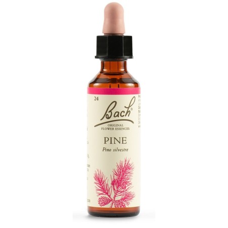 Bach Pine essenza floreale di pino silvestre 20 ml Bach Pine essenza floreale di pino silvestre 20 ml