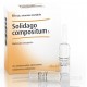 Heel Solidago Compositum Medicinale omeopatico 10 fiale da 2,2 ml l'una