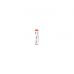 Boiron Staphysagria*granuli 10.000 K contenitore monodose