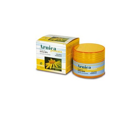 Farmaderbe Arnica Pomata lenitiva per dolori e contusioni 75 ml