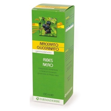 Ribes Nero macerato glicerinato per il benessere articolare e le difese organiche 100 ml Ribes Nero macerato glicerinato per il benessere articolare e le difese organiche 100 ml