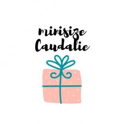 Caudalie minisize in omaggio