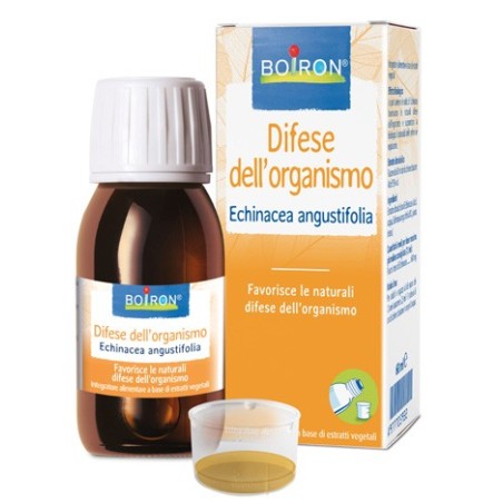 ECHINACEA ANGUSTIFOLIA ESTRATTO IDROALCOLICO 60 ML INT ECHINACEA ANGUSTIFOLIA ESTRATTO IDROALCOLICO 60 ML INT