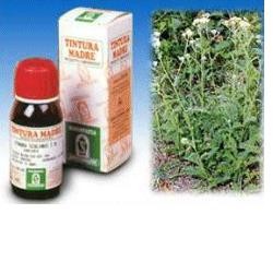 Specchiasol Achillea 51 tintura madre rimedio fitoterapico 50 ml
